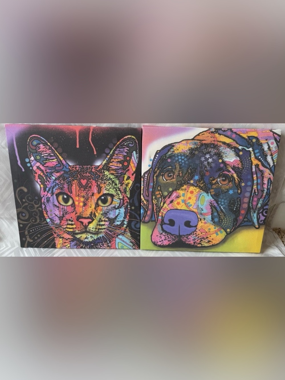 Colorful Dean Russo Print Cat Dog Savvy Labrador Canvas Art Wall Decor Picture